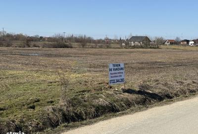 Spațiu comercial, în Ciolpani - 4
