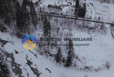 Teren de 2283 mp, în Tarcău - 11