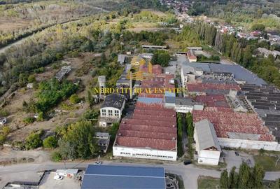 Spațiu industrial, de 21,018 mp, în Exterior Vest - 4