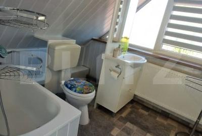 Casa de inchiriat, cu 4 camere, mobilata, curte, pivnita, zona Bartolomeu - 7
