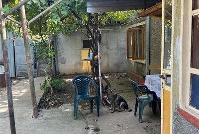 Casă individuală cu 4 camere cu Teren 147 Mp în Brăilița - 2