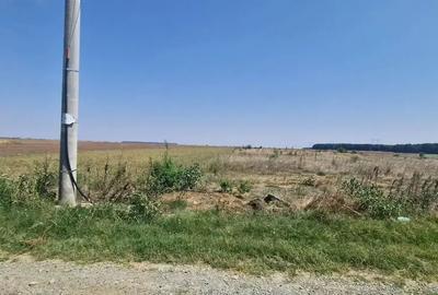 Teren intravilan de 1543 mp, în Brănești - 2