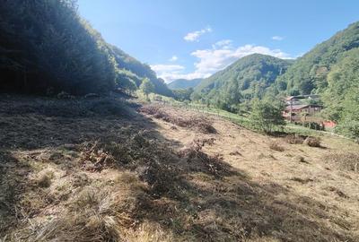 Teren de 4400 mp, în Cugir - 1