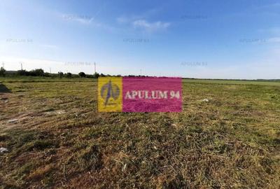 Teren construcție casă - 1 Decembrie - Zona Metropolitană București Teren construcție casă - 1 Decembrie - Zona Metropolitană București - 33