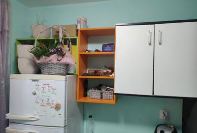Garsonieră nedecomandată în Dosu Bricii - 3