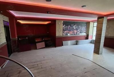 Spațiu comercial, de 350 mp, în Ultracentral - 3