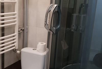 Apartament Dumbrava Nouă nr.18 bl.M165, 3 camere, 2 băi, 2 balcoane - 12