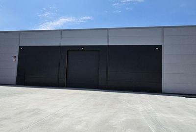 Pantelimon DN3 hala 600 mp - 2