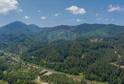 Teren Construcții intravilan de 3500 mp, în Dâmbul Morii - 10