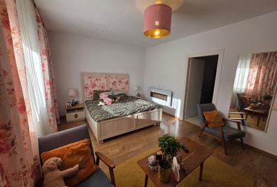 Dristor, Camil Ressu, 15 minute metrou, pe strada Ilioara - 13