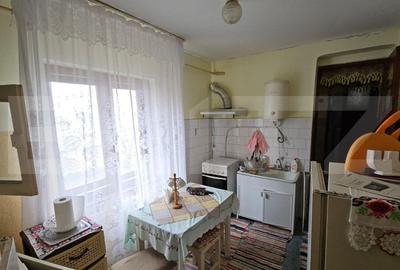 Casa individuala 3 camere, teren 2200 mp, garaj, terasa, pivnita, Pianu de Sus - 10