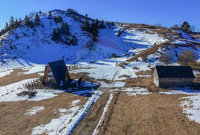 Teren Construcții intravilan de 3756 mp, în Șirnea - 3