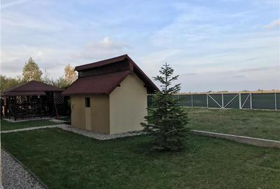 Casă cu 6 camere în Clinceni