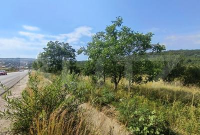 Teren intravilan, de vanzare, 1252 mp, zona Arghires - 2