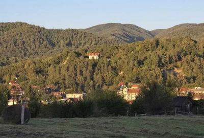 Spațiu comercial, în Central - 3