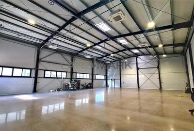 Hala noua de inchiriat , zona Lugojului - Aeroport Tmisoara - 8