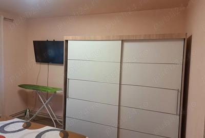 Casă cu Teren 1480 Mp în Coșteiu - 2