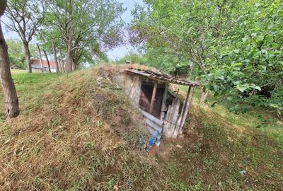 Casa cu teren 3100mp in Hidiselu de Sus - 15