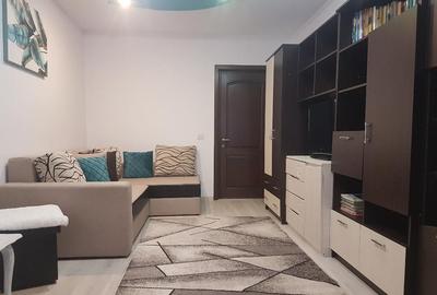 Apartament doua camere, deco, mobilat utilat frumos, Parcul Catedralei - 27