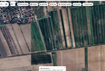 Teren de 7436 mp, în Butimanu - 4