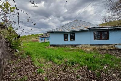Casă cu 4 camere cu Teren 10000 Mp în Tulești - 3