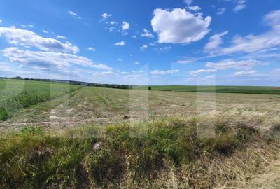 Teren Intravilan Manastirea Doamnei - 2