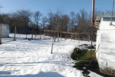 Casă cu 2 camere în Central - 4