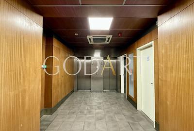 Birou, de 416.89999389648 mp, în Băneasa - 20