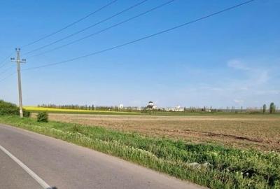 Teren in suprafata de 54000 mp- Sat Branistari, Comuna Calugareni - 3