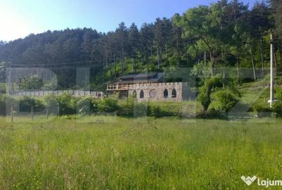 Casă cu 7 camere cu Teren 5000 Mp în Turda - 3