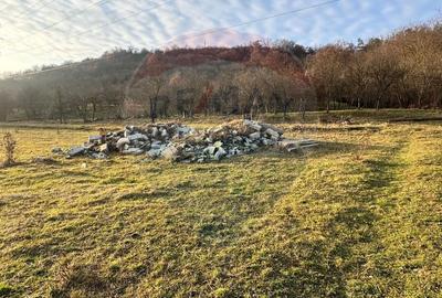 Teren extravilan de 12242 mp, în Ultracentral - 4