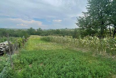 Casă cu 2 camere în Petrisat - 2