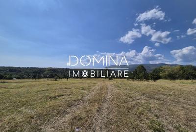 Teren Construcții intravilan de 13000 mp, în Runcu - 7