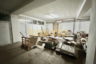 Spațiu industrial, de 700 mp, în Alexandriei - 18