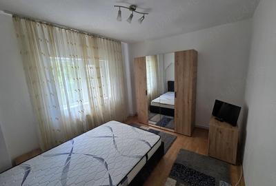 Apartament cu 2 camere decomandat în Govândari - 7