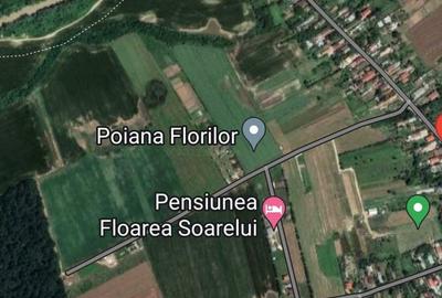 Teren de 1909 mp, în Piscu - 2