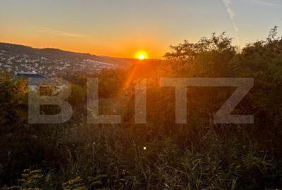 Teren intravilan in Zona Sarmas in suprafata de 1500 mp - 3