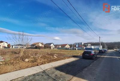 Teren de 968 mp, în Dumbrăvița