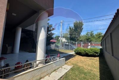 Casa / Vila spatioasa de inchiriat - Militari, zona Moinesti - 13