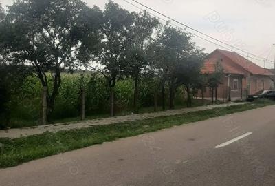 Casa noua de vanzare - 3