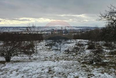 Teren de 10000 mp, în Rădășeni - 9