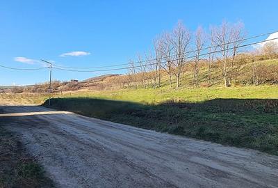 Teren intravilan\constructii \Sura Mare \ Sibiu - 4