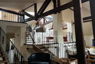 Udriste Birouri la vila 355mp - Unirii - 1