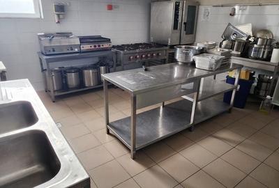 Proprietate specială, de 200 mp, în Mureșeni - 2