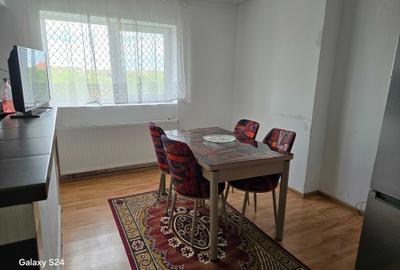 Apartament cu 2 camere decomandat în Remetea Mare - 2