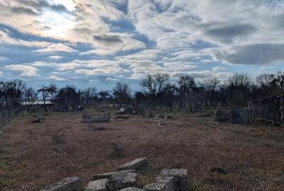 Casa cu gradina in comuna Sacadate jud. Sibiu, cu teren 2208m - 3