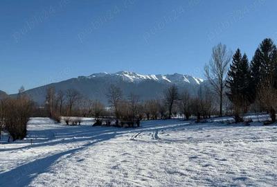 Teren intravilan intre 500 si 1000 mp cu vedere panoramica in zona Bran Tohanita - 2