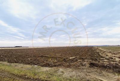 Teren 8973 mp intravilan loc. Albota, jud. Arges. Comision 0% - 2