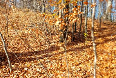 Spațiu comercial, în Central - 1