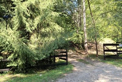 Casă cu 6 camere cu Teren 2267 Mp în Iedera de Sus - 16